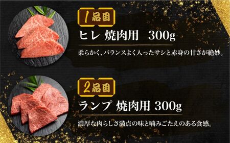  飛騨牛 5等級 希少部位 焼肉4種 食べ比べセット 計1.2kg ( ヒレ / ランプ / イチボ / 心芯 / 各300g) 4種 焼肉用 古里精肉店 A5 a5 牛肉 肉 国産 BBQ ブランド