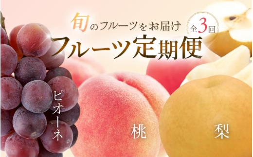 【３回定期便】【7・8・9月発送】紀州和歌山産 旬のフルーツ定期便 【桃・梨・ピオーネ】/ 和歌山県 夏 人気フルーツ / 桃 もも モモ なし ナシ 梨 ピオーネ ぶどう ブドウ/ フルーツ 定期便