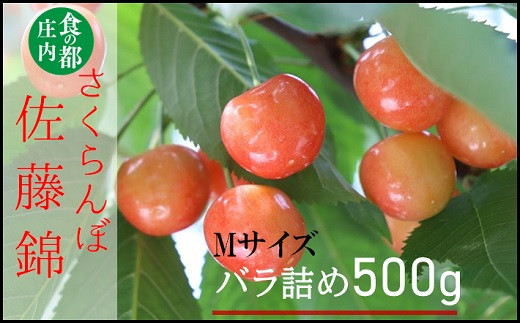 
            ★先行予約★食の都庄内　【令和7年産】庄内産さくらんぼ「佐藤錦」Mサイズ500gバラ詰め※令和7年6月中旬～下旬頃発送予定
          