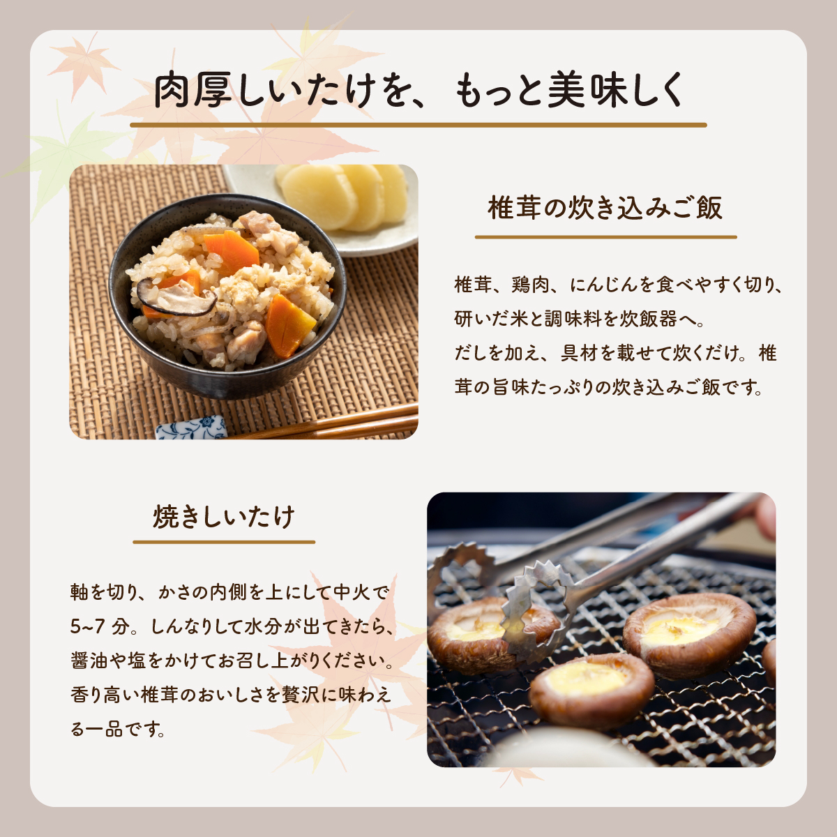 肉厚生しいたけ 1kg　椎茸 しいたけ シイタケ 肉厚 生椎茸 国産 [DL003ya]