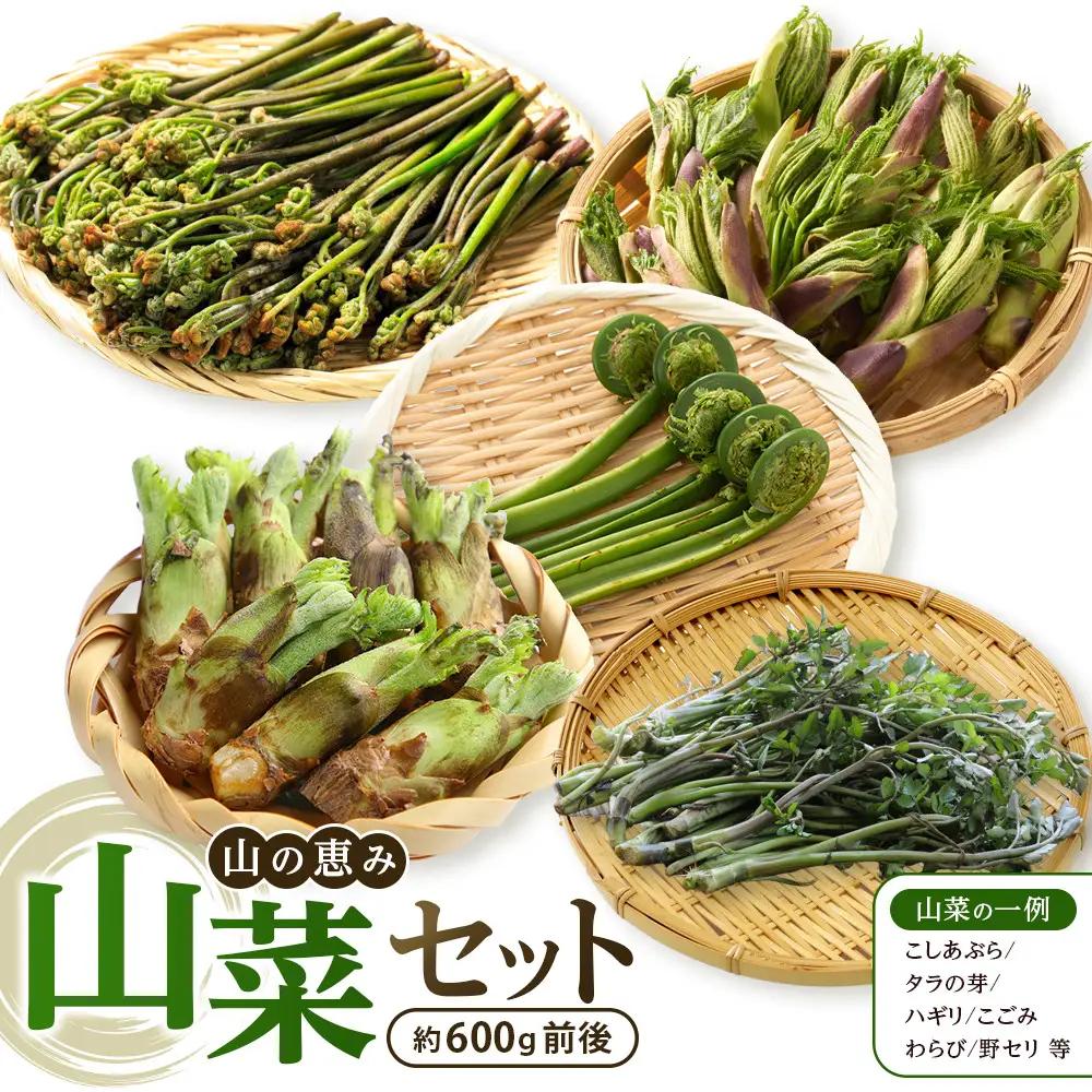 先行予約【2027年4月中旬頃～順次発送予定】ちっくほっくふぁ～む　山の恵み　山菜セット
