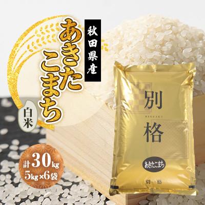 ふるさと納税 大潟村 【毎月定期便】あきたこまち 白米 30kg(5kg×6袋)全6回