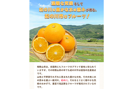 先行予約 和歌山県産 八朔(はっさく) 約10kg 前商店《2025年1月上旬-1月末頃出荷》｜はっさく八朔はっさく八朔はっさく八朔はっさく八朔はっさく八朔はっさく八朔はっさく八朔はっさく八朔はっさく