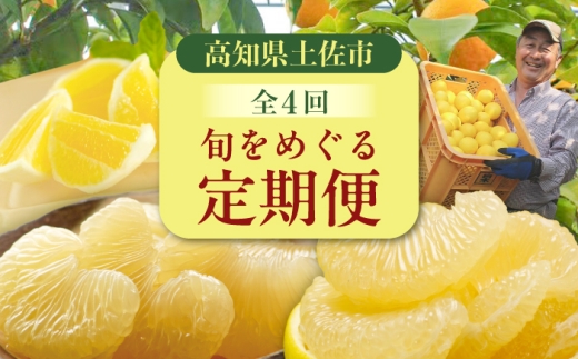 【4回定期便】バラエティ文旦 贅沢コース〈水晶文旦・温室文旦・贈答品 土佐文旦 〉/ 文旦 ぶんたん ブンタン 土佐文旦 水晶文旦 温室文旦 柑橘 フルーツ 果物 くだもの 定期便【白木果樹園】 [BQAI061]
