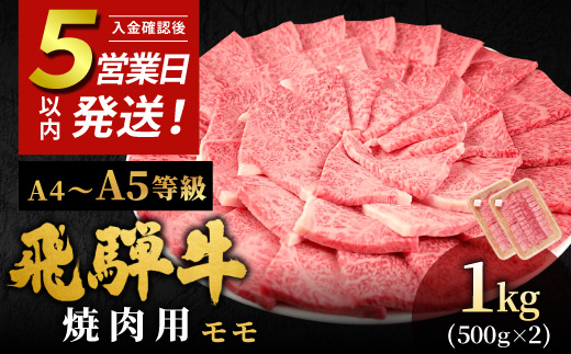 
                  【発送時期が選べる】 飛騨牛 A4~A5等級 もも焼肉用 1kg 岐阜県産 A4 A5 焼肉 BBQ 黒毛和牛 もも モモ 赤身 牛肉 牛 国産 お取り寄せ ごちそう 自宅用 和牛 大容量 小分け 最短発送 肉のひぐち
                