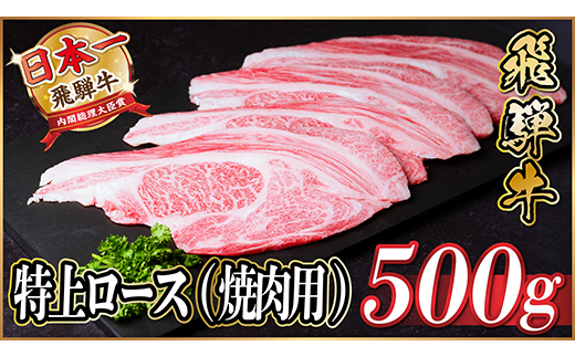 レビューキャンペーン実施中!飛騨牛　特上ロース(焼肉・BBQ用)500g　A5等級　黒毛和牛 　【配送不可地域：離島】【1543790】