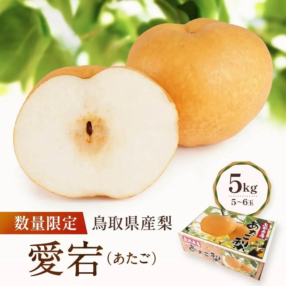 愛宕 5kg 5～6玉 先行予約 数量限定 鳥取県産 梨 梨