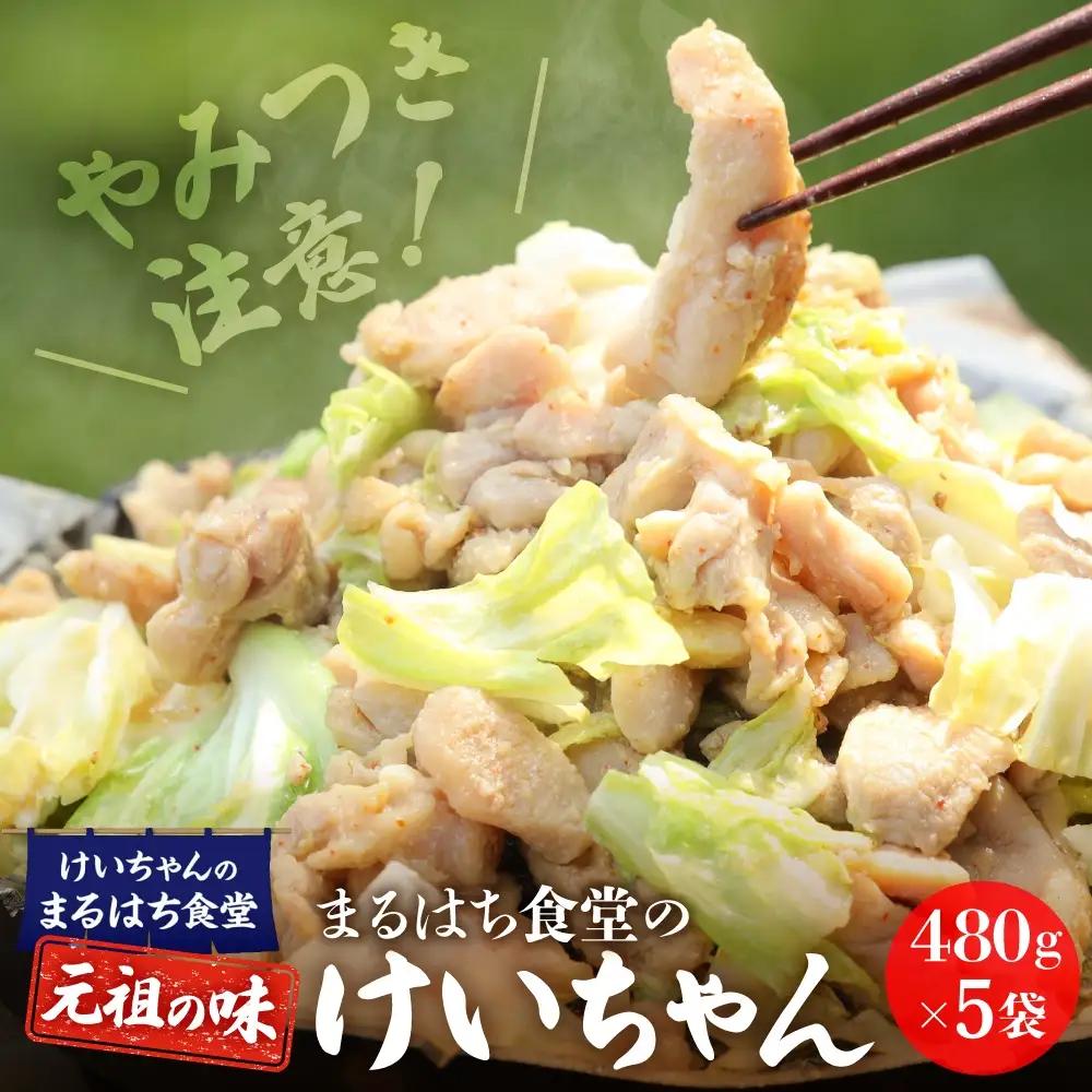 鶏ちゃん発祥の名店「まるはち食堂」こだわり抜かれた下呂の味！！けいちゃん 480g×5（約15人前）冷凍  味付き 焼くだけ【48-2】