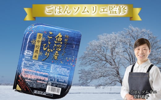 魚沼産コシヒカリ 雪中貯蔵米パックご飯 12個セット ごはんソムリエ監修 パック ご飯 ごはん レトルト 越後小千谷たかの 【0002-0195-01】