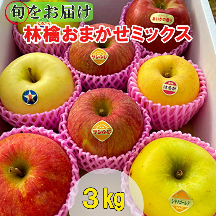 【ふるさと納税】《先行予約》【贈答用】旬のりんご・おまかせミックス！【6〜8品種】花巻産約3kg　サンふじ シナノゴールド 大夢 あいかの香り はるか むつ 王林 ふるさと納税 りんご