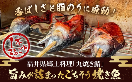 【福井県名物】丸焼き鯖 1本 職人の焼きで香ばしくジューシー【さば 焼き魚 焼き サバ 丸焼き 惣菜 半夏生 はんげしょう 酒の肴 郷土料理】 [e38-a004]