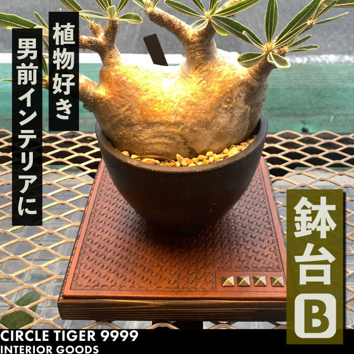 【ふるさと納税】1点モノ 鉢台 B《豊前市》【CIRCLE TIGER 9999】インテリア 植物 グリーン 室内 観葉植物[VCS002] 46000 46000円