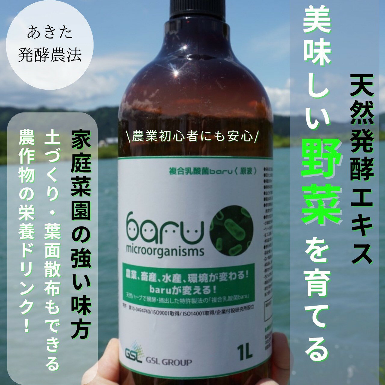 【ふるさと納税】環境に優しい農業用乳酸菌 安全で効果的な乳酸菌液をお届け 乳酸菌資材 有益菌農業 農業 家庭菜園 堆肥化 土壌改良 植物活力剤 野菜栽培 果物 花 原液 天然 堆肥作り あきた発酵農法 発酵 1000ml[M9903]