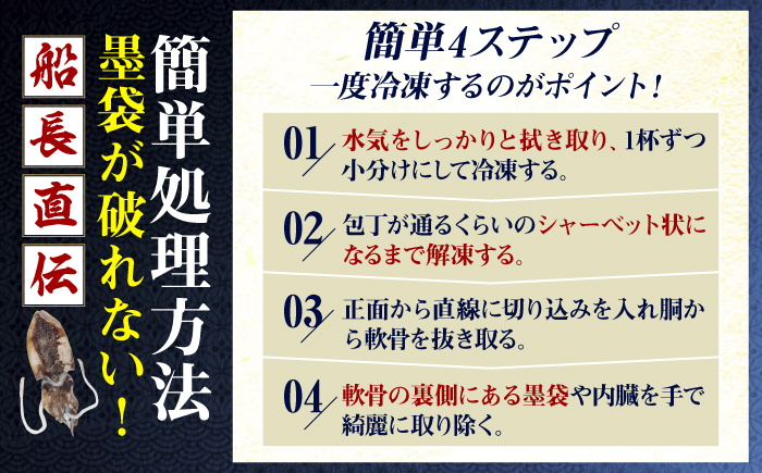 【先行予約】【2027年3月下旬以降順次発送】豊前海産「 コウイカ 」約1kg (3～5杯)《築上町》【明青丸】 [ABCB001] イカ いか 刺身 烏賊 17000円 1万7千円