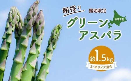 アスパラ 露地 北海道産 アスパラ【約1.5kgM・Sサイズ】【先行予約】