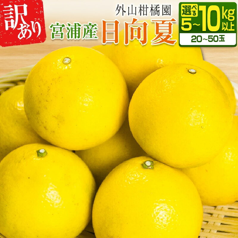 【ふるさと納税】≪内容量が選べる≫ 先行予約 訳あり 宮浦産 日向夏 5kg 10kg 2027年 令和9年発送 フルーツ 果物 くだもの 柑橘 みかん 国産 食品 みかんジュース デザート おやつ ワケあり 不揃い サイズ混合 傷 ご褒美 おすそ分け 家庭用 産地直送 宮崎県 日南市 送料無料