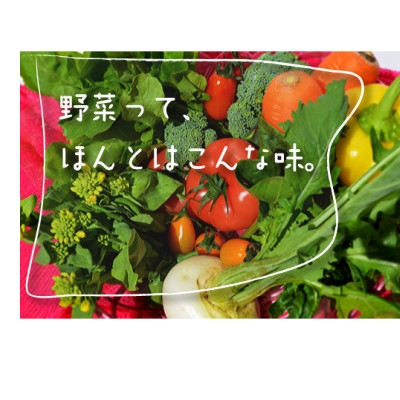 
                  千葉県八千代市 農産物直売所クラフト直送 旬の野菜セット【1700413】
                