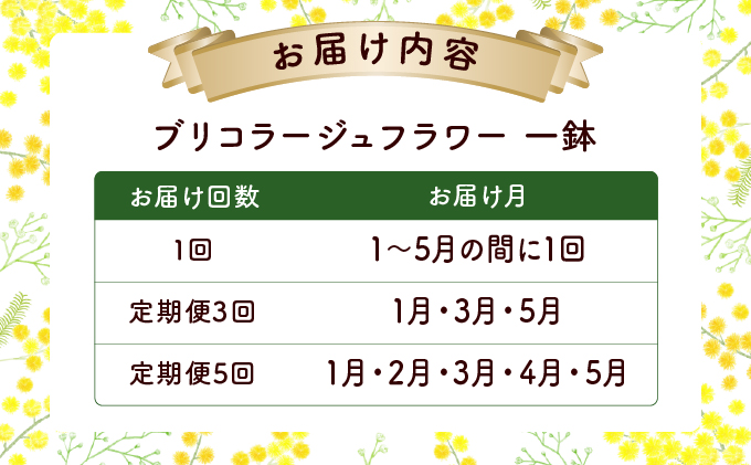 【選べる回数】季節のお花が楽しめる☆お花屋さん 通常便 1回 定期便 3回 5回 ブリコラージュフラワー 寄せ植え 15~20株_イメージ5