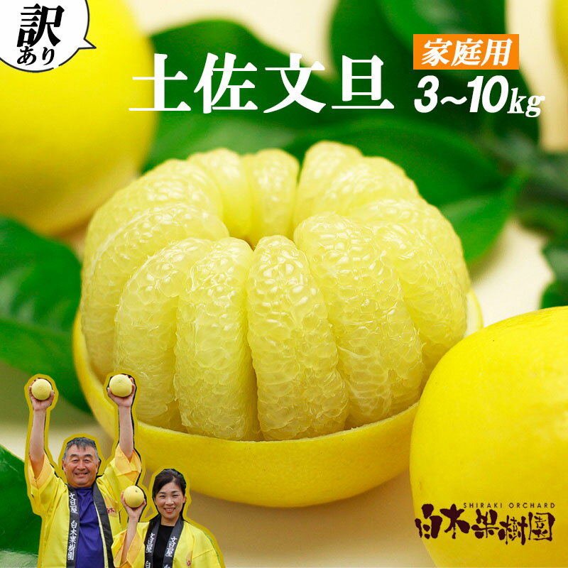 【果樹園直送】土佐文旦　訳ありご家庭用　約10kg　L～4L（15～20個）果物 柑橘 フルーツ ぶんたん　ブンタン 分担 高知県土佐市 お取り寄せ 産地直送 おいしい 美味しい 返礼品 白木果樹園