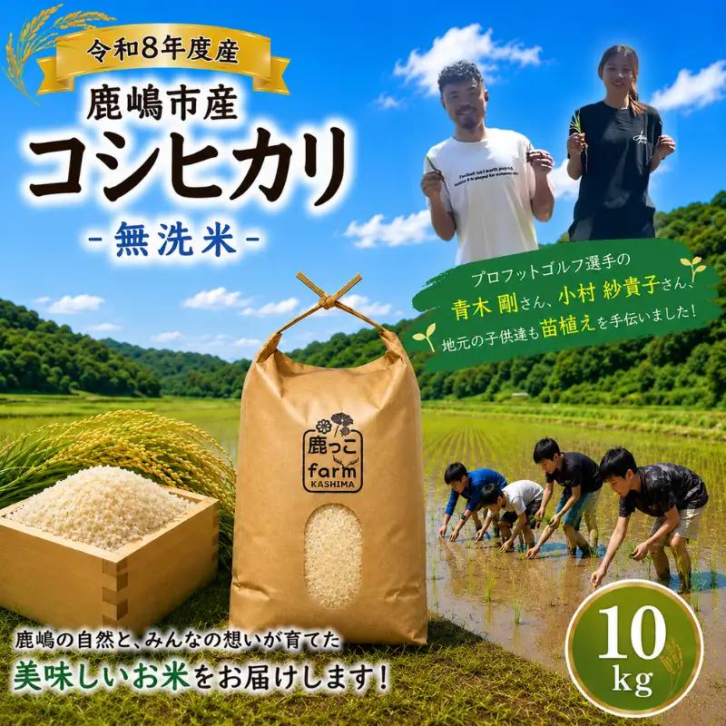 【 無洗米 】 こしひかり 米 5kg 新米 鹿嶋市 【2026年10月以降発送】