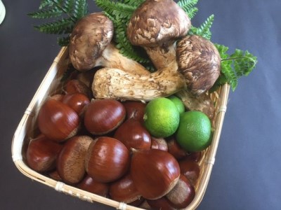 【数量限定】極上 丹波松茸 丹波栗 詰め合わせ＜京都・八光館＞松茸 松茸 松茸 松茸 松茸