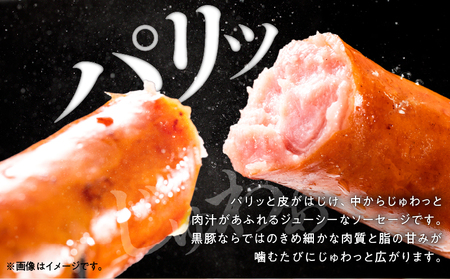 鹿児島 黒豚 ロングウィンナー 700g KN005-012-01 肉 豚肉 冷凍 ソーセージ