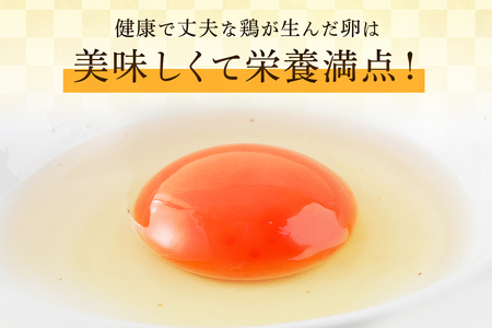 ゴマで育てた「ごまちゃん卵」30個 [0713]