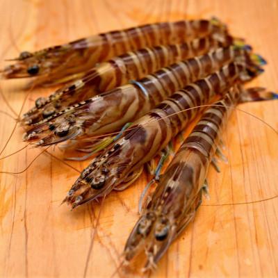 ふるさと納税 名護市 【養殖場から直送】急速冷凍車えび 大物サイズ 約2kg(56〜64尾/500g×4P) |  | 01