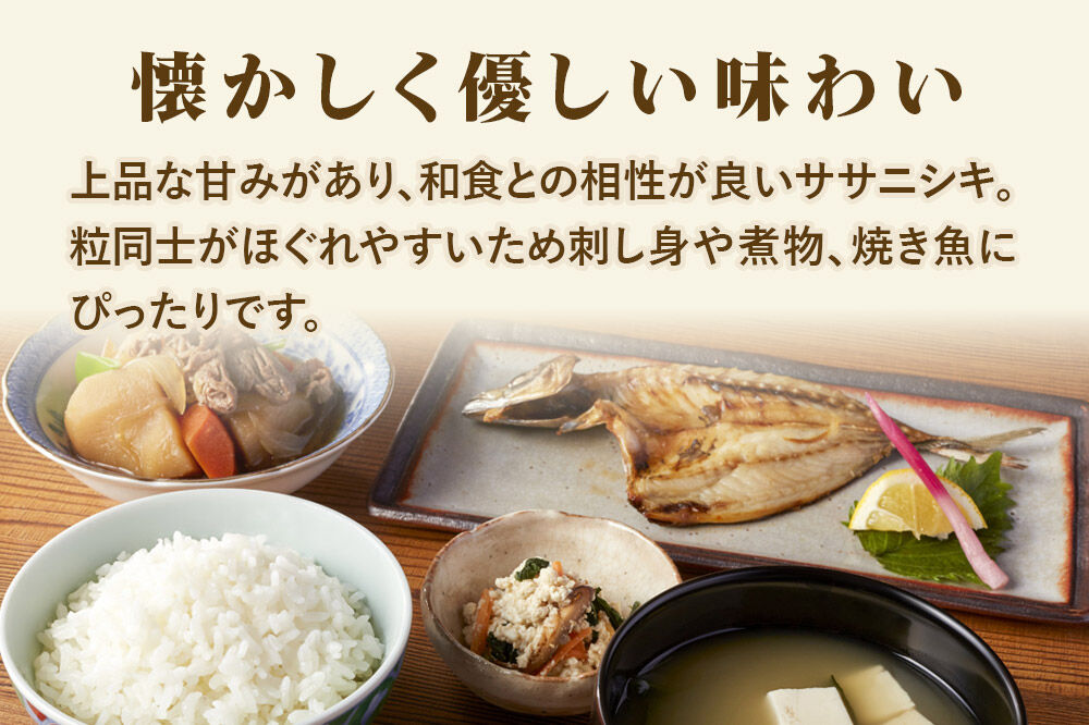 米 令和7年産 宮城県産 ササニシキ 白米 10kg（5kg×2） [米 コメ こめ 白米 ササニシキ 宮城県産 5kg 上品 あっさり 粘り控えめ 和食に合う 冷めても美味しい お弁当 艷やか 香り
