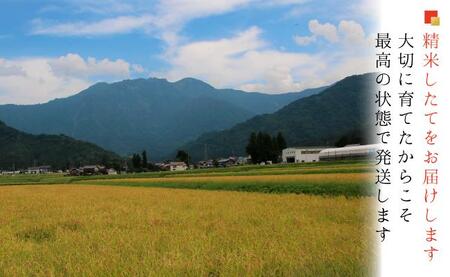 南魚沼産コシヒカリ 無洗米５ｋｇ 【５割減農薬栽培米】城内農産　令和７年