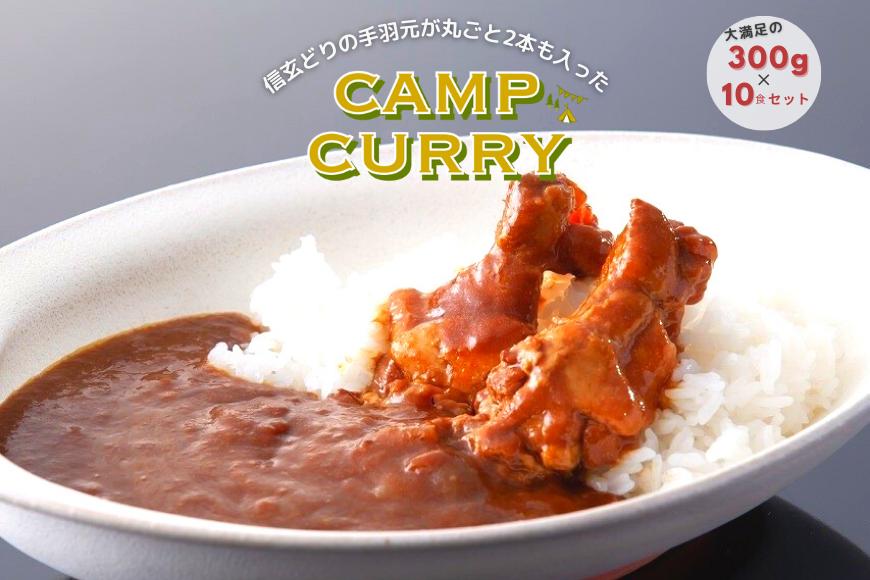
【キャンプカレー】大容量300gのレトルトカレー10食セット！
