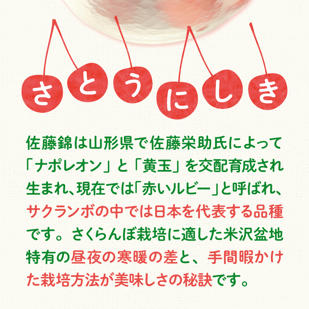 《 先行予約 》 令和7年産 さくらんぼ 佐藤錦 500g ( バラ詰め ) 〔2025年6月上旬～6月下旬頃お届け〕