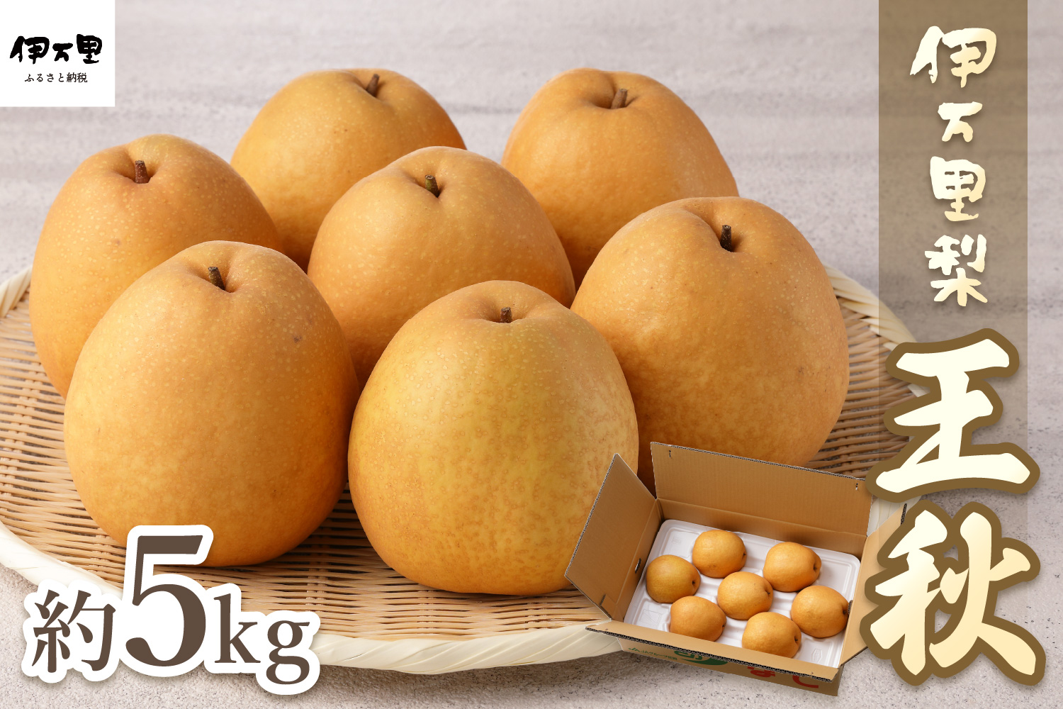 【2025年産先行予約】伊万里梨「王秋」 約5kg  B163
