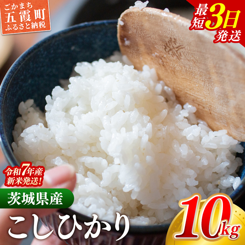 ☆令和7年産☆ 新米 『こしひかり』精米 10kg (5kg×2袋) 出荷日に合わせて精米 コシヒカリ 米 お米 10kg コメ こめ 人気 銘柄 家計応援 家庭用 茨城県産 茨城県 五霞町【価格変更AA】