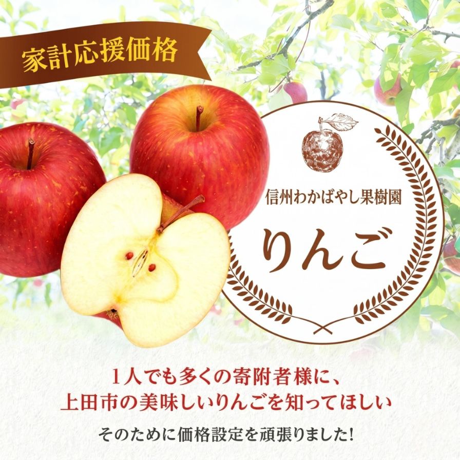 りんご 信州上田産 サンふじ 家庭用 約10kg 24～32個 林檎 リ