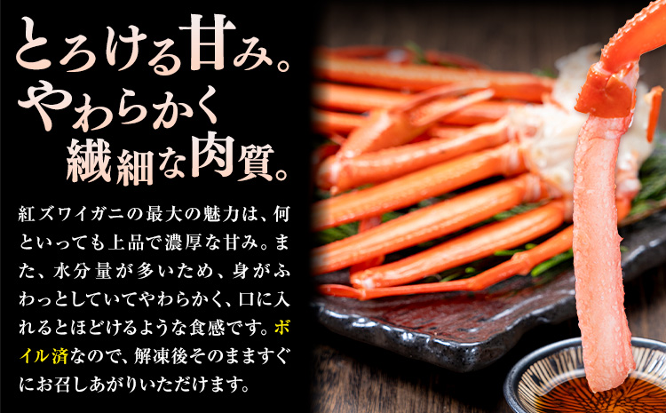 訳あり カニ 紅ズワイガニ （セクション） ボイル済み お試し 約1kg (1-2人前) 《30日以内に出荷予定(土日祝除く)》鳥取県 八頭町 送料無料 蟹 かに わけあり ベニズワイガニ ズワイ蟹 