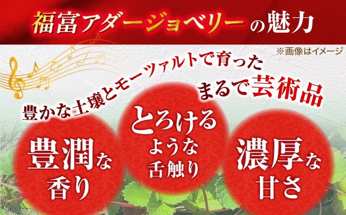 島根県産 イチゴ 苺 紅ほっぺ 松江市 農園 アダージョベリー 完熟 モーツァルト 大粒 フルーツ 果物 ギフト