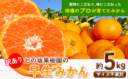 訳あり 早生 みかん 5kg ( サイズ 不選別 ) どの坂果樹園《12月上旬-1月末頃出荷》｜ 和歌山県 日高川町 みかん ご家庭用 訳ありみかん わけありみかんみかんみかんみかんみかんみかんみかんみかんみかんみかんみかんみかんみかんみかんみかんみかんみかんみかんみかんみかんみかんみかんみかんみかんみかんみかんみかんみかんみかんみかんみかんみかんみかんみかんみかんみかんみかんみかんみかんみかんみかんみかんみかんみかんみかんみかんみかんみかんみかんみかんみかんみかんみかんみかんみかんみかんみかんみかんみかん