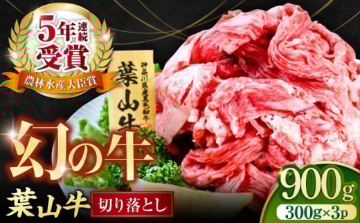 葉山牛 小分け 牛肉 切り落とし 切り落とし300g×3パック 計900g  横須賀 冷凍 【株式会社羽根】 [AKAG002]