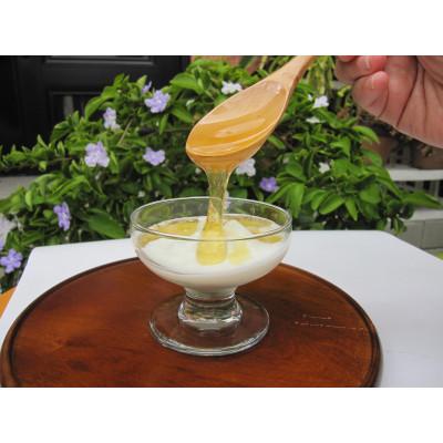 ふるさと納税 木津川市 <京都府産>希少和蜜 日本ミツバチの純粋『百花はちみつ(和蜜)』160g×2個 |  | 01