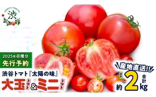 【 2025年 収穫分 先行予約 】 -太陽の味- 渋谷トマト 大玉トマト・ミニトマト詰め合わせ 約2kg 2025年1月4日～発送開始 トマト ミニトマト 茨城 産地直送 農家直送 リコピン ビタミン 有機肥料 野菜 甘い 直売所