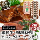 【ふるさと納税】キッチン飛騨 飛騨牛・飛騨豚使用ハンバーグ ＆ ソーセージセット（2種合計12個）| レトルト ハンバーグ ソーセージ 惣菜 飛騨牛 豚 肉 飛騨高山 飛騨ハム CQ023VP