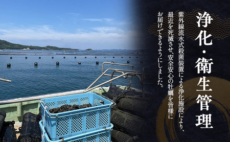 【ふるなびWEEK対象】【小豆島】小豆島産 シマビト牡蠣　生食用殻付き牡蠣　20個　2026年1月より随時発送 牡蠣 カキ 生牡蠣 生食用 殻付き 香川県 小豆島