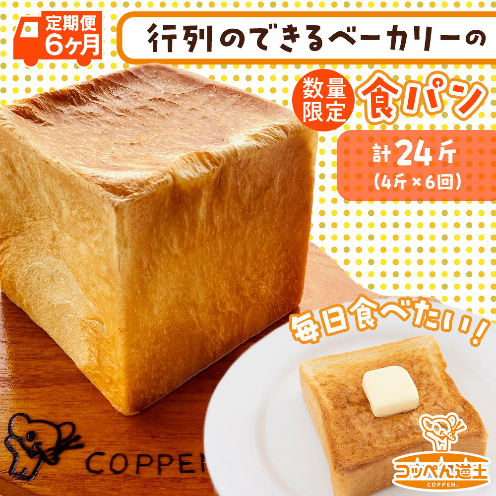 【ふるさと納税】定期便 全6回 北海道 こだわり 食パン 4斤 北海道産 小麦 パン トースト 手作り 自家製 焼きたて 酵母 ベーカリー 朝食 朝ごはん 軽食 モーニング 道の駅 冷凍 グルメ お取り寄せ 人気 行列 自家用 ギフト 贈答用 送料無料 木古内 木古内町