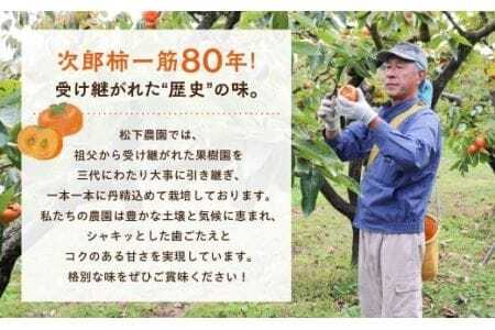 次郎柿 小箱 大玉 約9個 豊橋 柿
