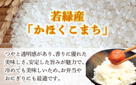 【令和8年産】 かほくこまち 5kg 【2026年12月配送】 | お米 米 かほくこまち