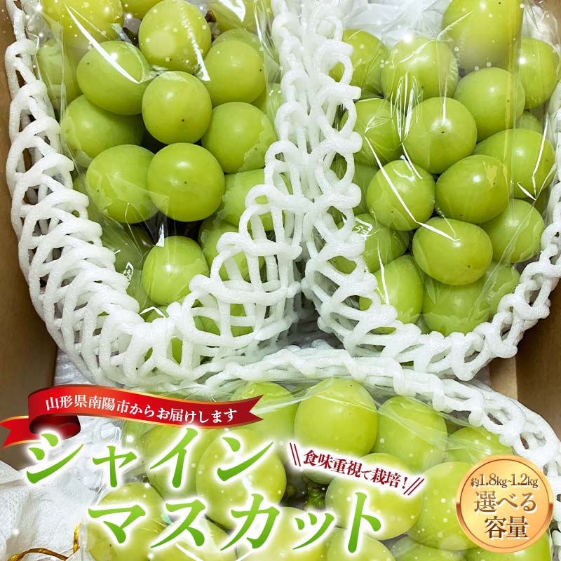 【ふるさと納税】 【令和7年産先行予約】 シャインマスカット 【選べる容量 1.2kg前後（2房入り）／1.8kg前後 (3～4房入り) 】《令和7年9月下旬～発送》 『きらめきぶどう園』 マスカット ぶどう 果物 フルーツ デザート 山形南陽産 山形県 南陽市 [858]