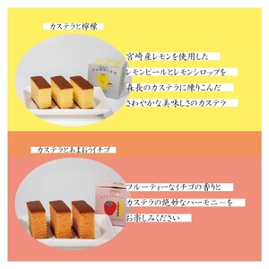 伝統に育まれた本場の長崎カステラセット(個包装タイプ)Aセット【B8-031】