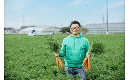 【予約受付】＜フジテレビ『どっちのふるさと？』で紹介されました！＞【期間限定】訳あり！こどもも食べられる甘み！「マドンナキャロット」 10kg 甘い 大容量 やさしい にんじん 人参 ニンジン 野菜 