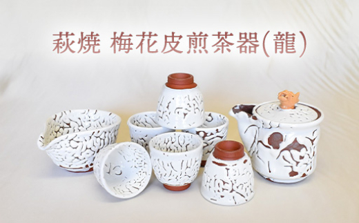 
            【352047000963】萩焼 梅花皮煎茶器(龍)
          